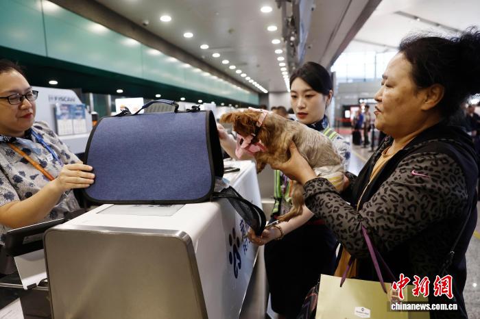 中國東方航空がペットと一緒に機內(nèi)搭乗できるサービスを開始