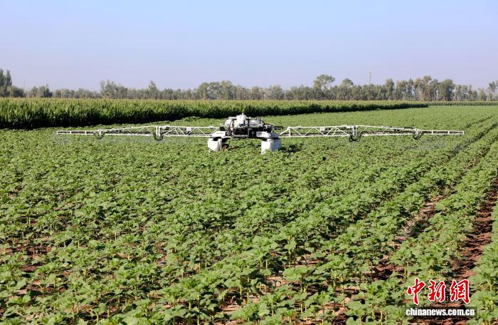 作業(yè)現(xiàn)場(chǎng)。撮影?陳健生