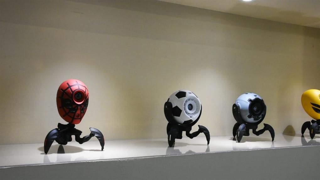 寫真提供?新華社