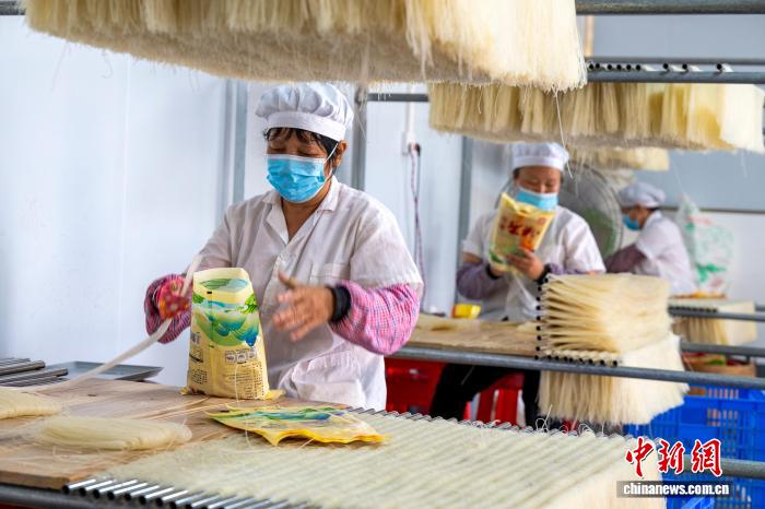 注文対応に追われる特産のライスヌードル工場　広西?蒼梧