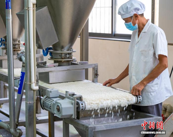 注文対応に追われる特産のライスヌードル工場　広西?蒼梧