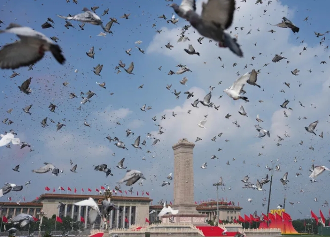 北京市で盛大に行われた中國人民抗日戦爭ならびに世界反ファシズム戦爭勝利80周年記念大會で放たれたハト（9月3日撮影?牟宇）。
