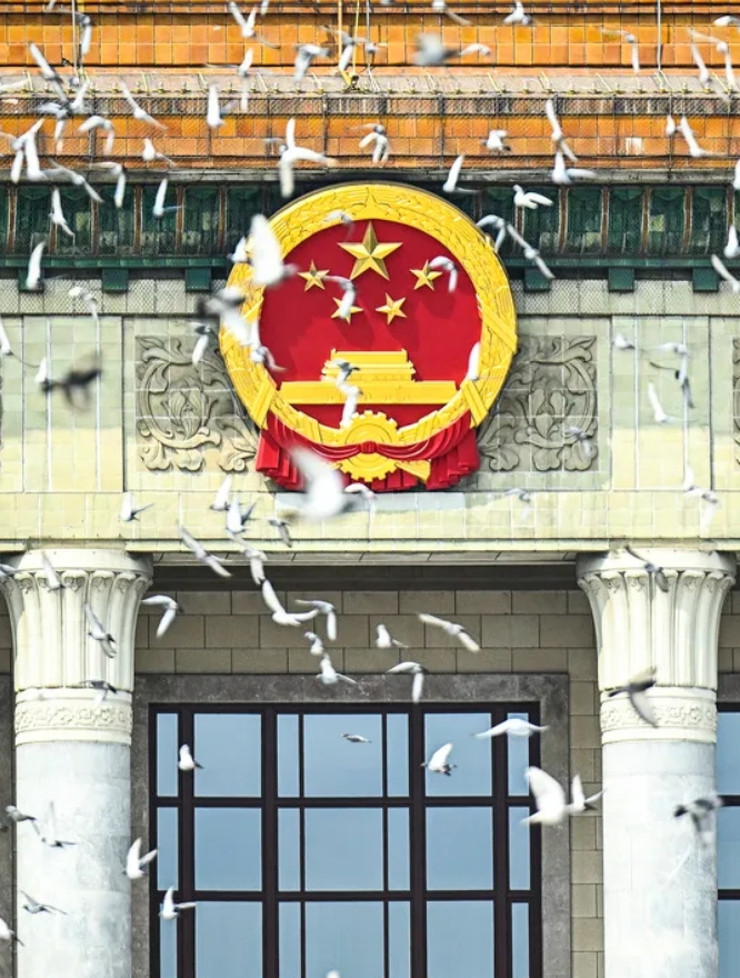 記念大會(huì)で放たれたハト（撮影?張宏祥）。