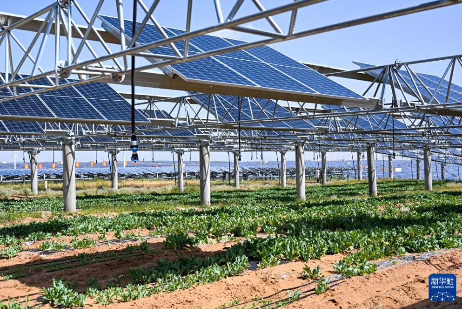 庫布其砂漠の生態(tài)系バリア構(gòu)築を後押しする太陽光発電産業(yè)　內(nèi)蒙古