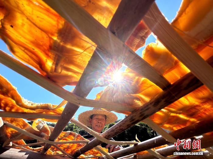 干しタケノコ産業(yè)で所得増加目指す広西?恭城瑤族自治県