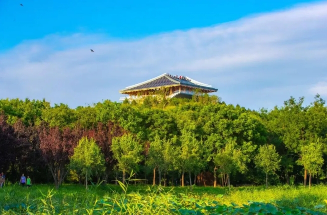 南苑森林濕地公園（寫真提供?北京市豊臺區(qū)融合メディアセンター）。