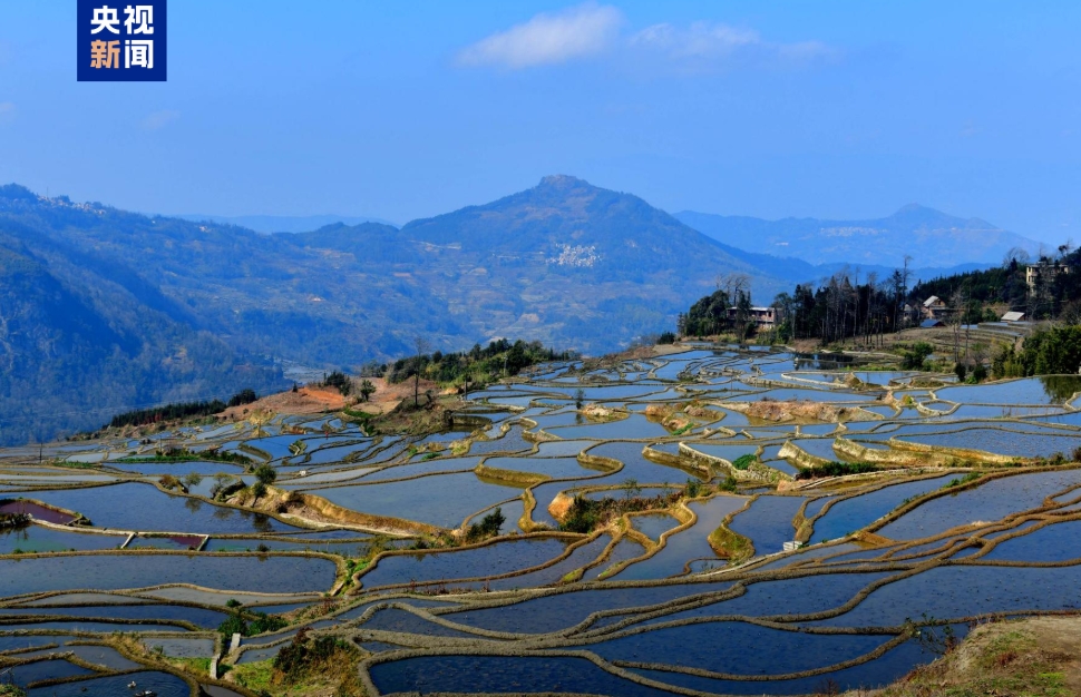 雲(yún)南省紅河哈尼（ハニ）族彝（イ）族自治州元陽哈尼棚田