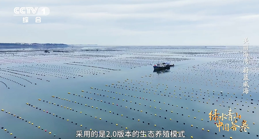 國(guó)連が普及を目指す中國(guó)の複合エコ養(yǎng)殖　山東省威海