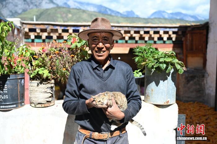 チベット族の暮らしに融け込んでいる「愛貓文化」　四川省郷城