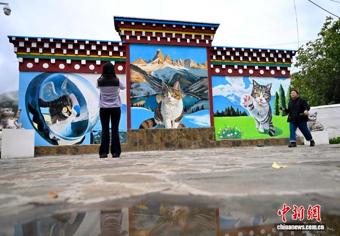 チベット族の暮らしに融け込んでいる「愛貓文化」　四川省郷城