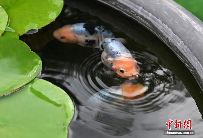 特別展の様子（撮影?史春陽）。