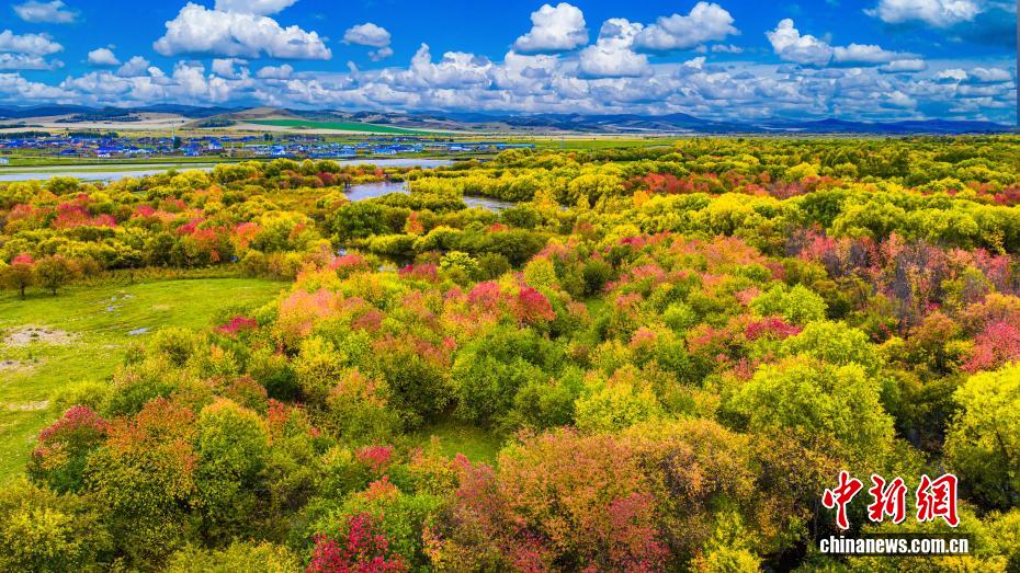 秋の絶景広がる內(nèi)蒙古?額爾古納