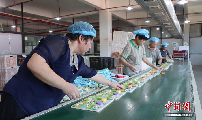 「中國木製玩具の里」を訪ねて　浙江省雲(yún)和