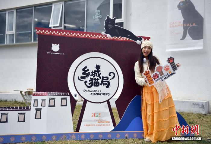 「貓局長」が就任、人気高まる千年の愛貓文化　四川省郷城