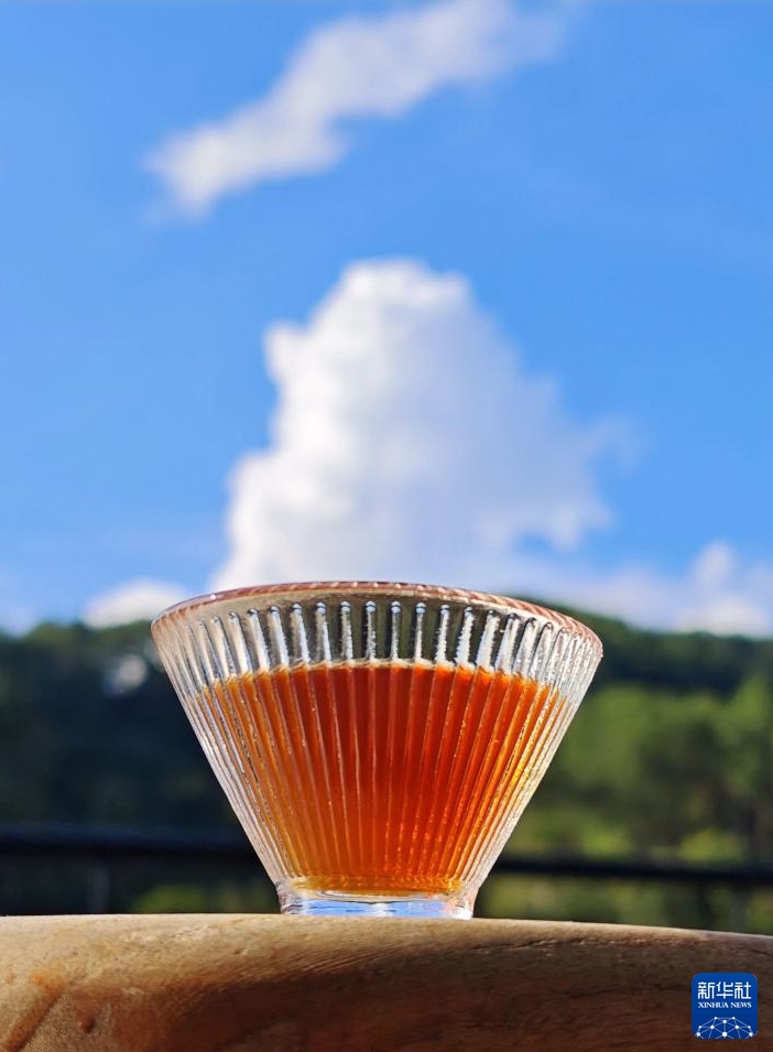 コーヒー観光産業(yè)の発展を後押しする中國(guó)ラオス鉄道　雲(yún)南省