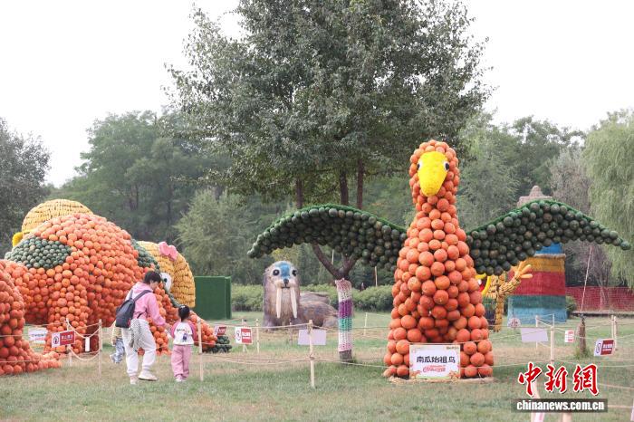 カボチャや藁などで作った恐竜が登場！寧夏?銀川の文化観光イベント