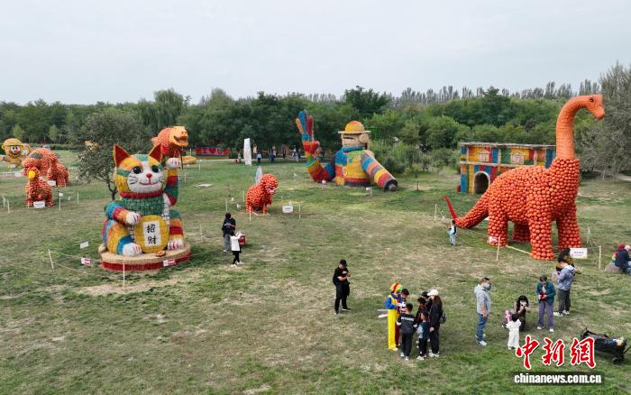 カボチャや藁などで作った恐竜が登場(chǎng)！寧夏?銀川の文化観光イベント