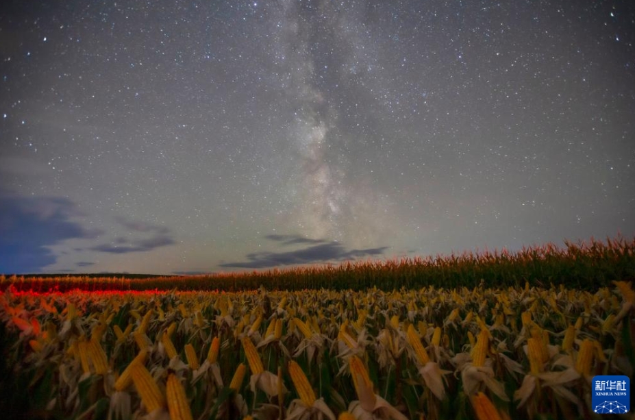 星空の下に広がる中國東北エリアの豊作風(fēng)景　黒竜江省