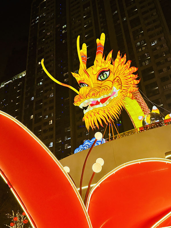 初めての春節(jié)