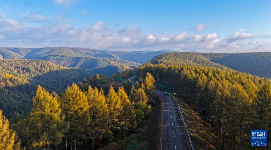 美しい秋の朝の景色広がる塞罕壩　河北省