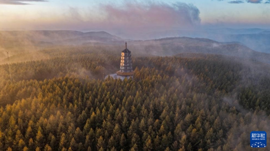 美しい秋の朝の景色広がる塞罕壩　河北省