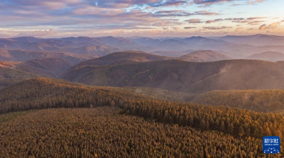 美しい秋の朝の景色広がる塞罕壩　河北省