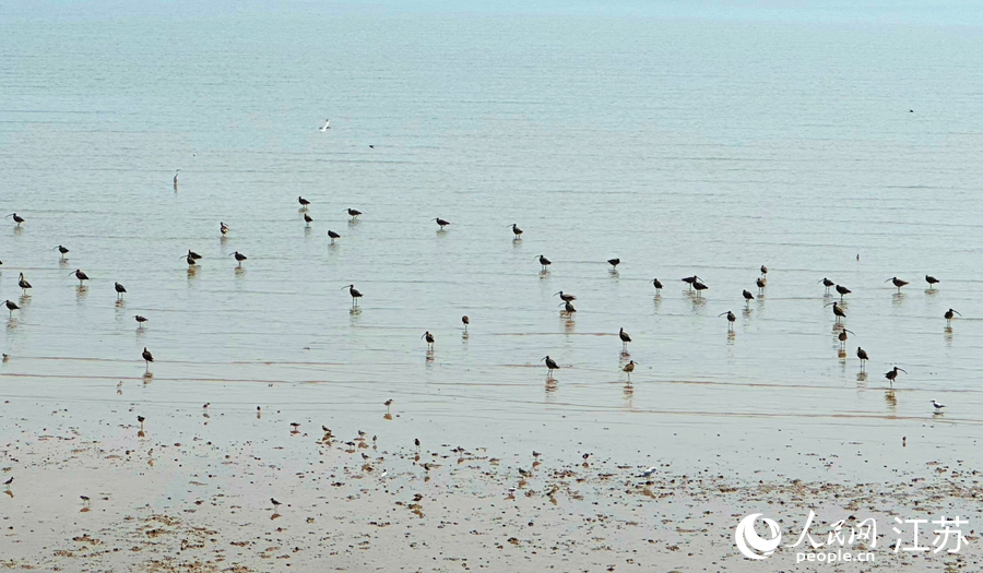 2025年世界沿岸フォーラムが江蘇省塩城市で開幕