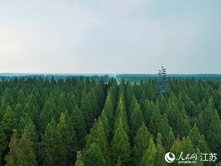 2025年世界沿岸フォーラムが江蘇省塩城市で開(kāi)幕