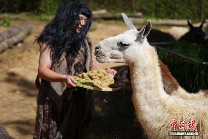 動(dòng)物たちが味わう特製の「月餅」　雲(yún)南省昆明