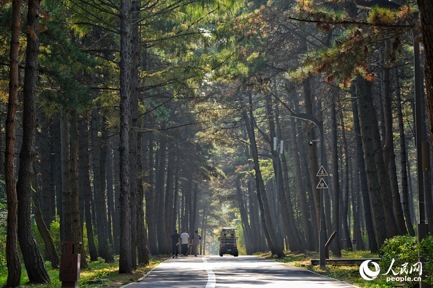 浄月潭に広がる美しい秋景色　吉林省長(zhǎng)春市