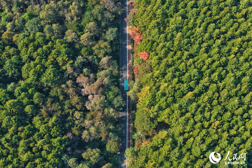 浄月潭に広がる美しい秋景色　吉林省長春市