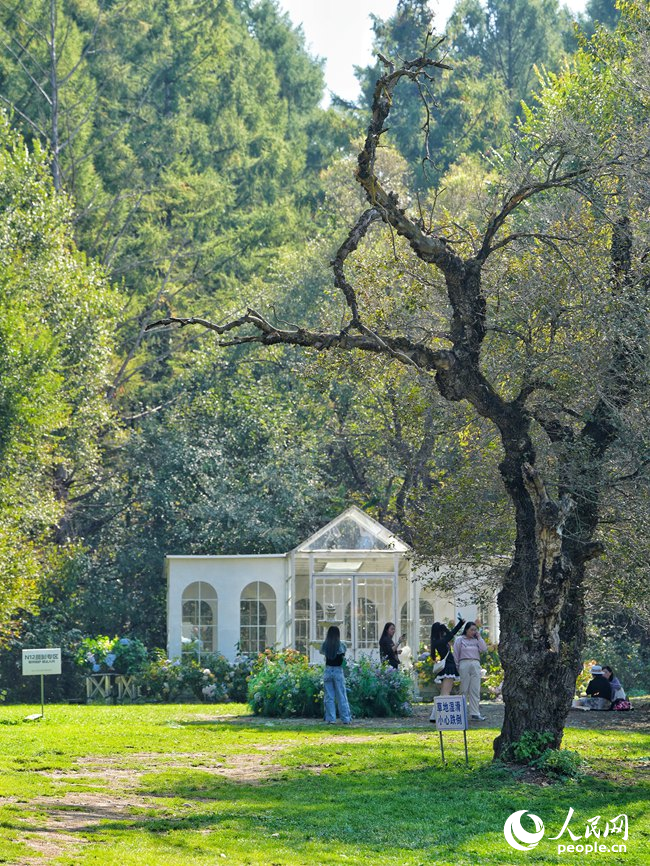 浄月潭に広がる美しい秋景色　吉林省長春市