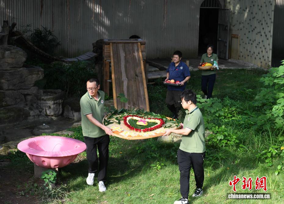 中秋節(jié)にはパンダにも特製月餅　重慶動物園