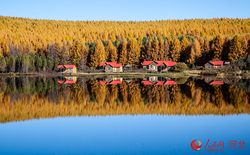 この時期ならではの美しい秋景色が広がる河北省囲場