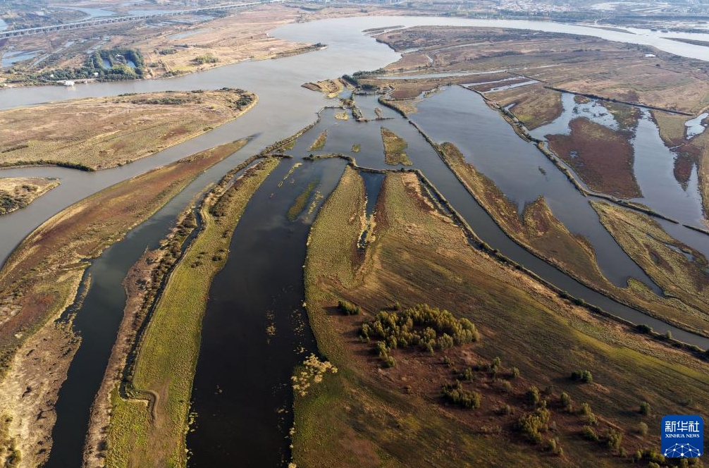 濕地に広がる風情ある秋景色　黒竜江省哈爾浜