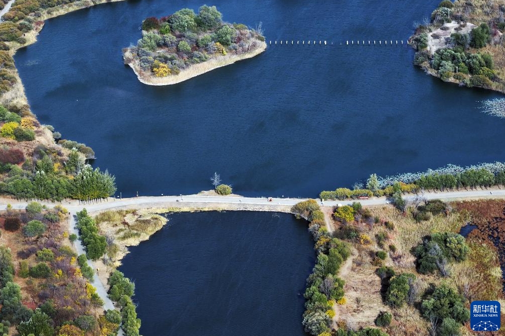 濕地に広がる風(fēng)情ある秋景色　黒竜江省哈爾浜