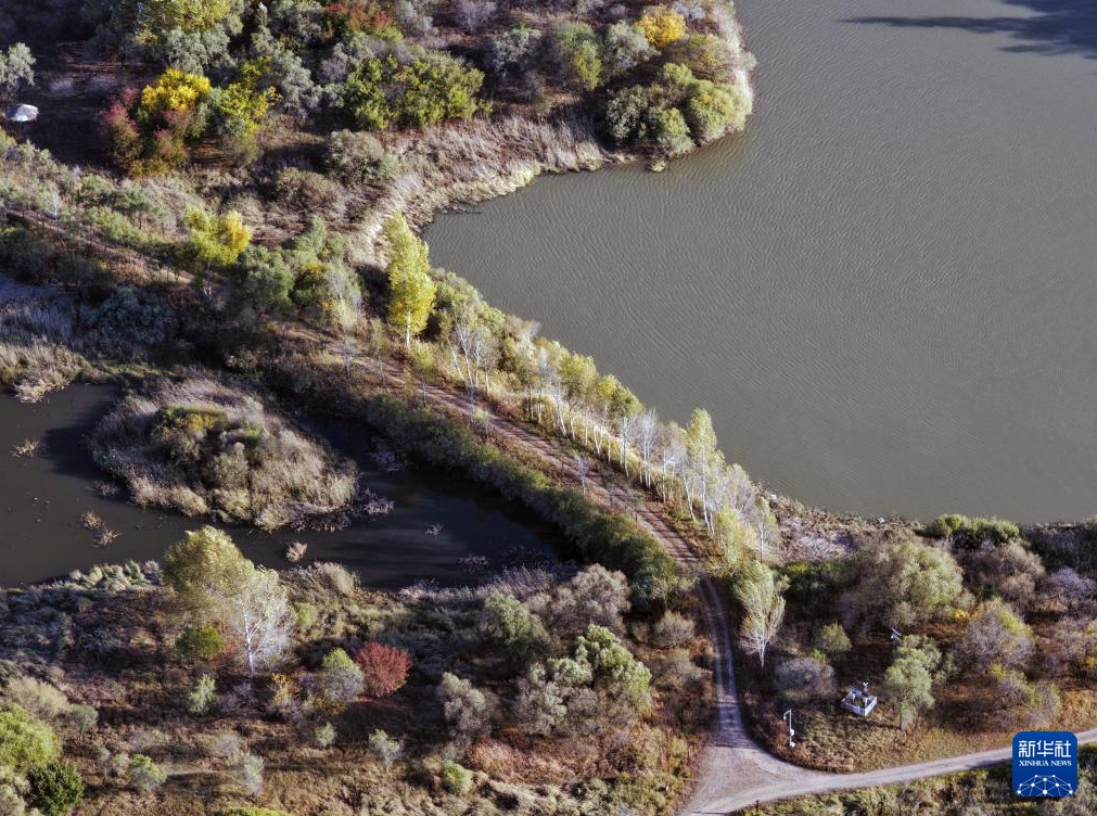 濕地に広がる風(fēng)情ある秋景色　黒竜江省哈爾浜