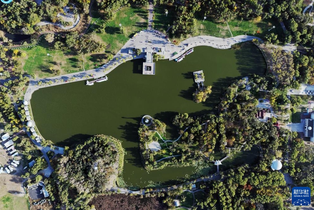 濕地に広がる風(fēng)情ある秋景色　黒竜江省哈爾浜