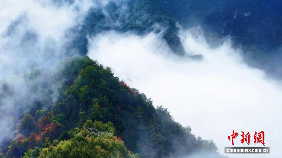 秦嶺?翠華山で紅葉と雲海の織りなす絶景　陝西省西安
