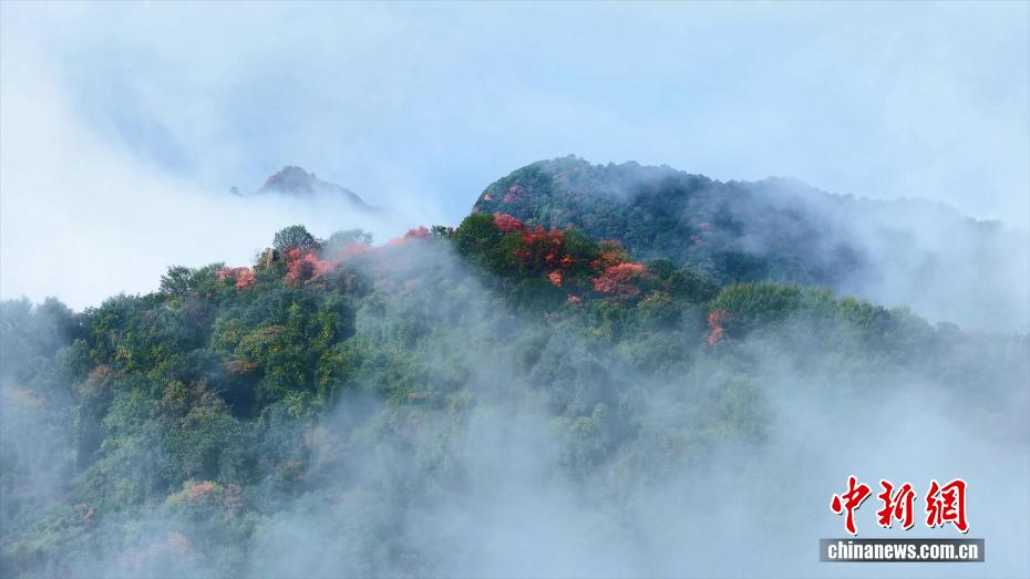 秦嶺?翠華山で紅葉と雲(yún)海の織りなす絶景　陝西省西安