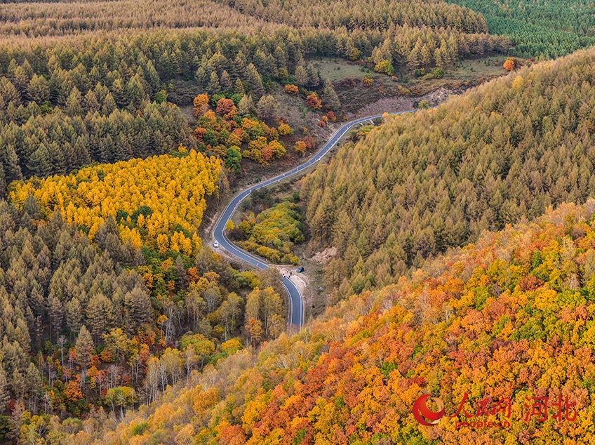 カラフルな秋の色彩の競(jìng)演　河北省囲場(chǎng)