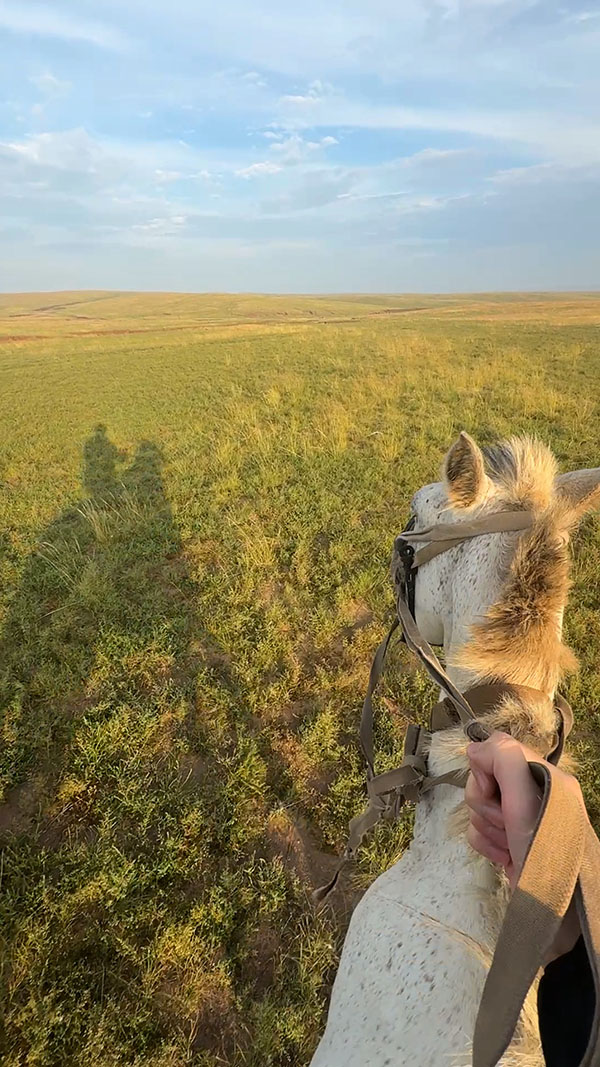 乗馬の特訓(xùn)