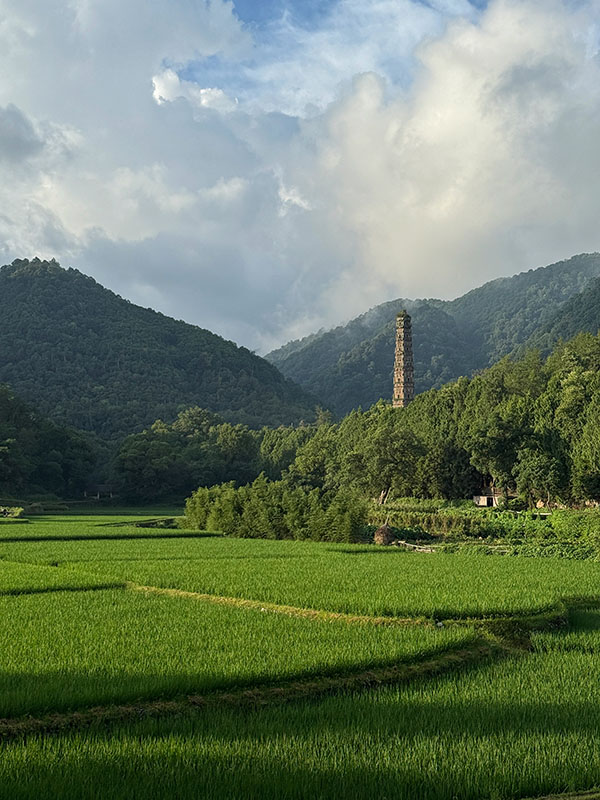 隋塔と田園風景