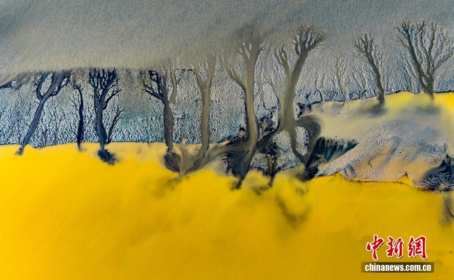 銭塘江沿岸に現(xiàn)れた壯大な「潮汐樹」　浙江省海寧