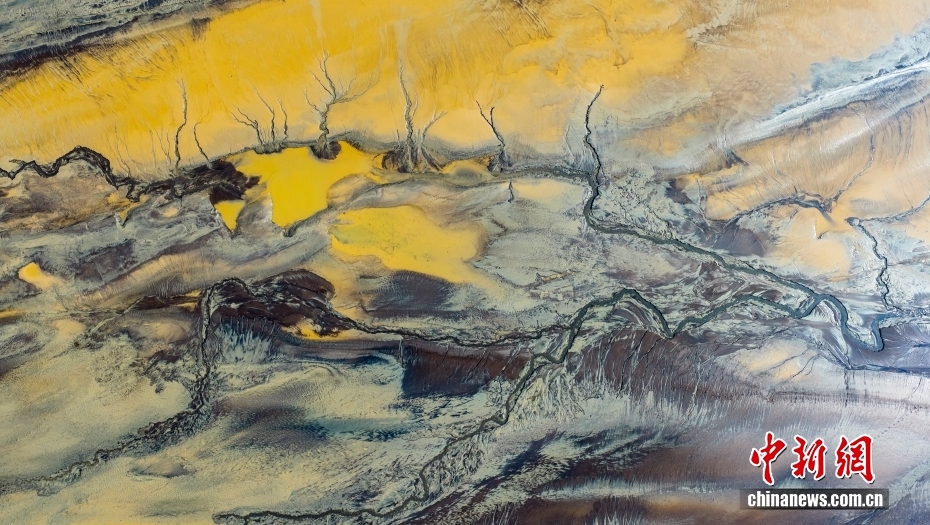 銭塘江沿岸に現(xiàn)れた壯大な「潮汐樹(shù)」　浙江省海寧