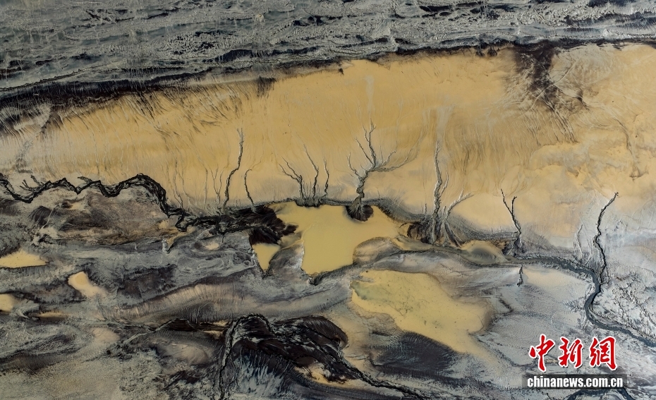 銭塘江沿岸に現(xiàn)れた壯大な「潮汐樹」　浙江省海寧