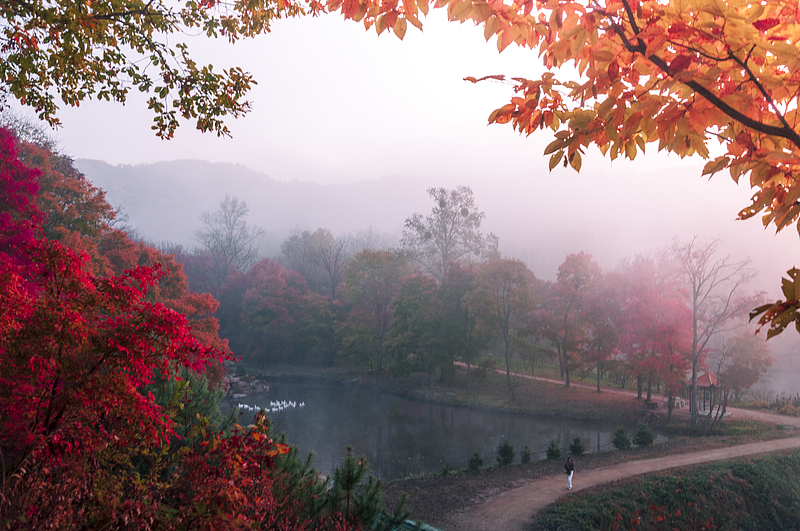 燃え立つような紅葉を包む湖面の薄霧　吉林省舒蘭
