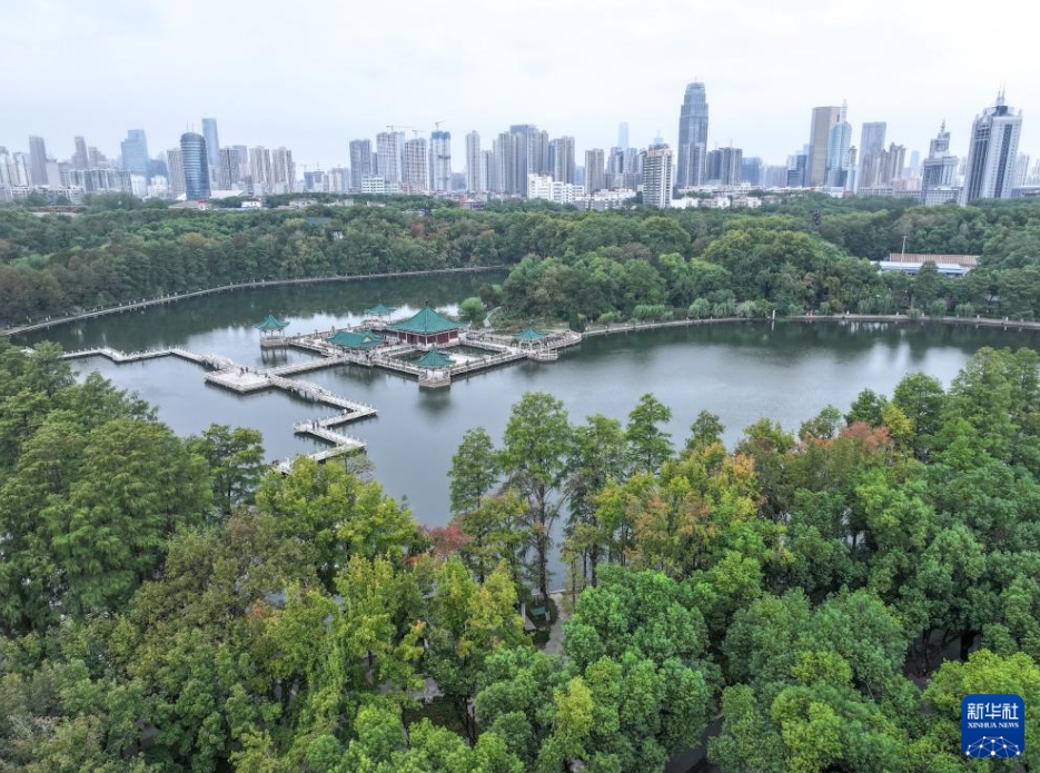 秋深まる中國(guó)各地に広がる美しい風(fēng)景の數(shù)々