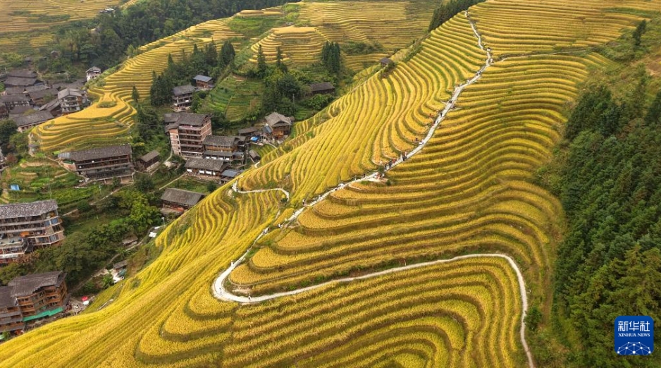 秋深まる中國各地に広がる美しい風(fēng)景の數(shù)々