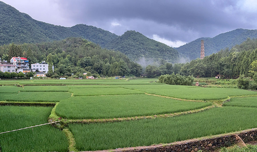 雨上がりの隋塔